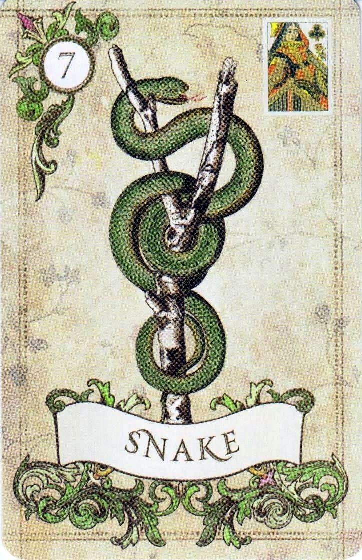 Snake
