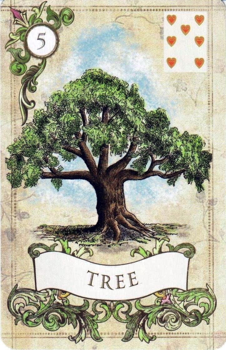 Tree