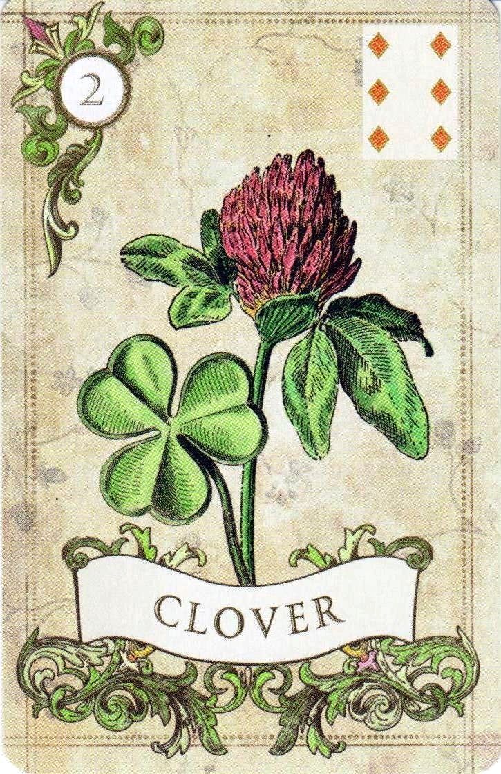 Clover