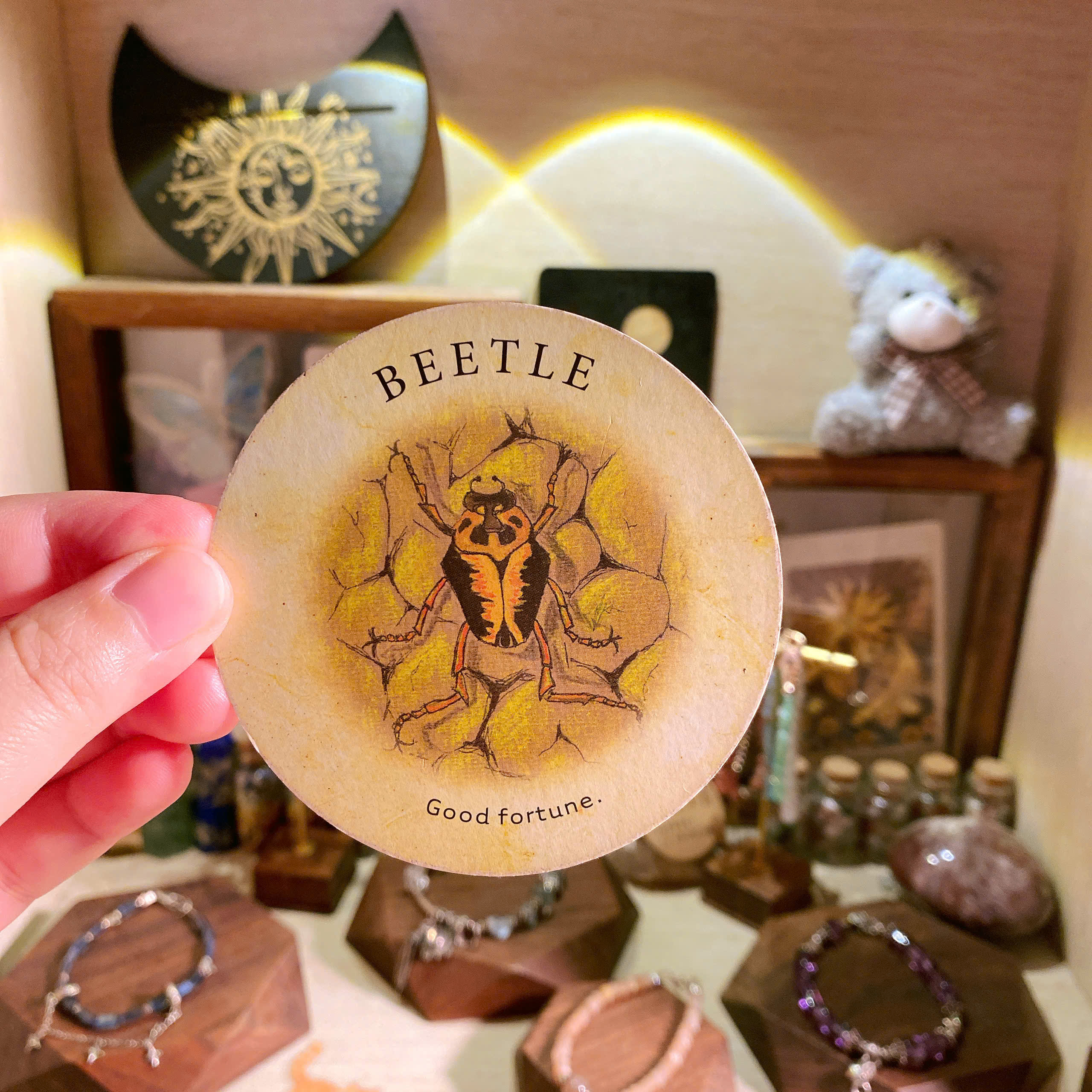 Beetle