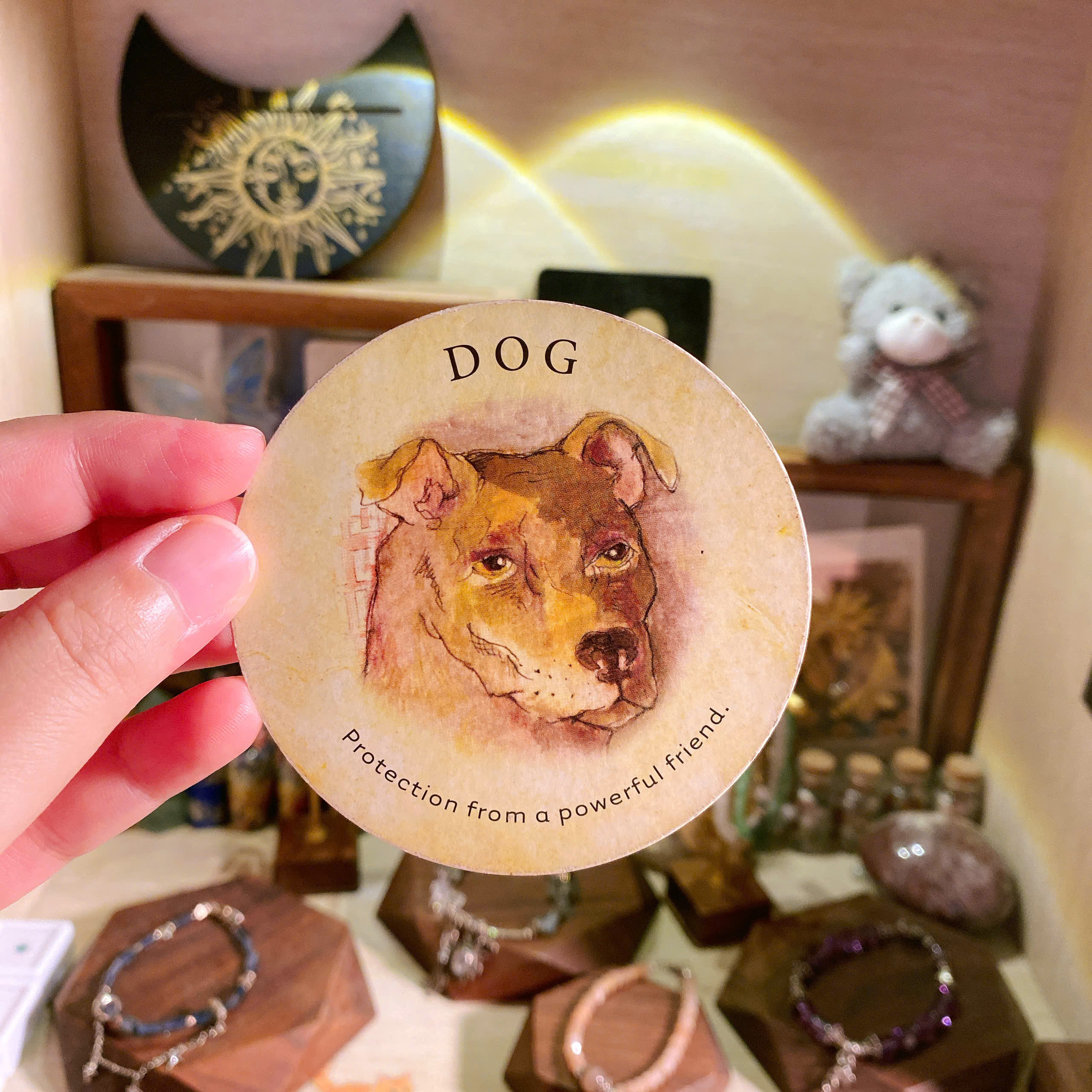 Dog