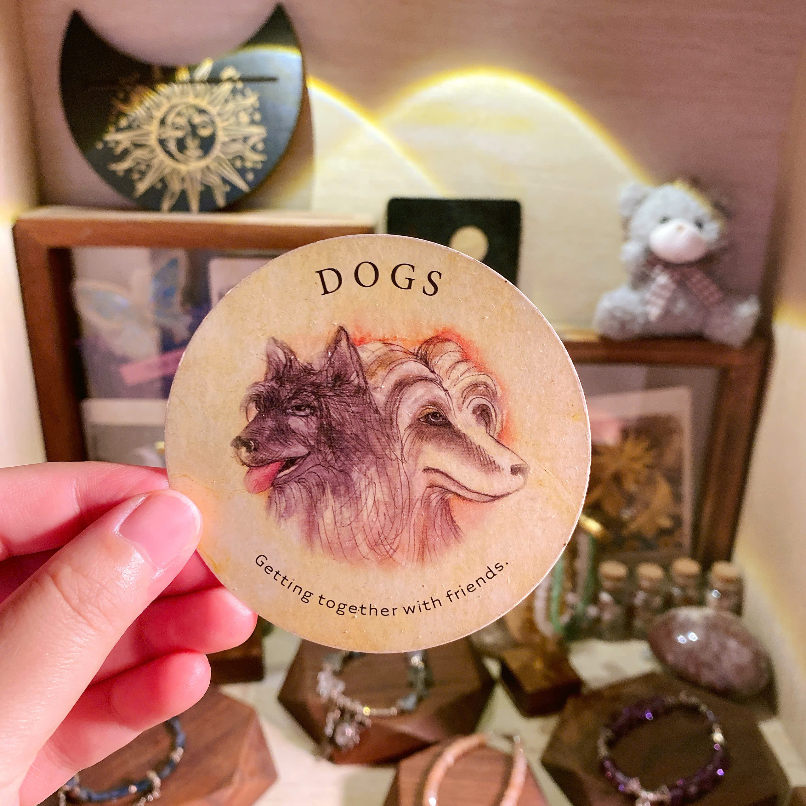 Dogs