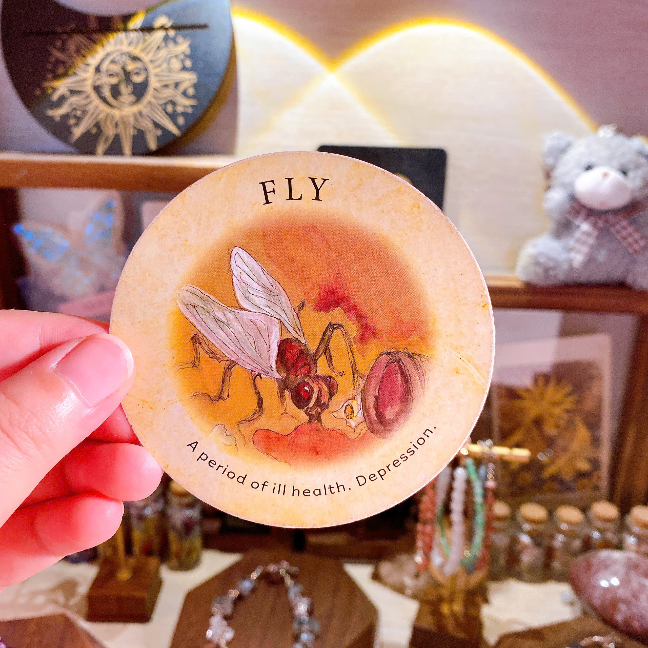 Fly