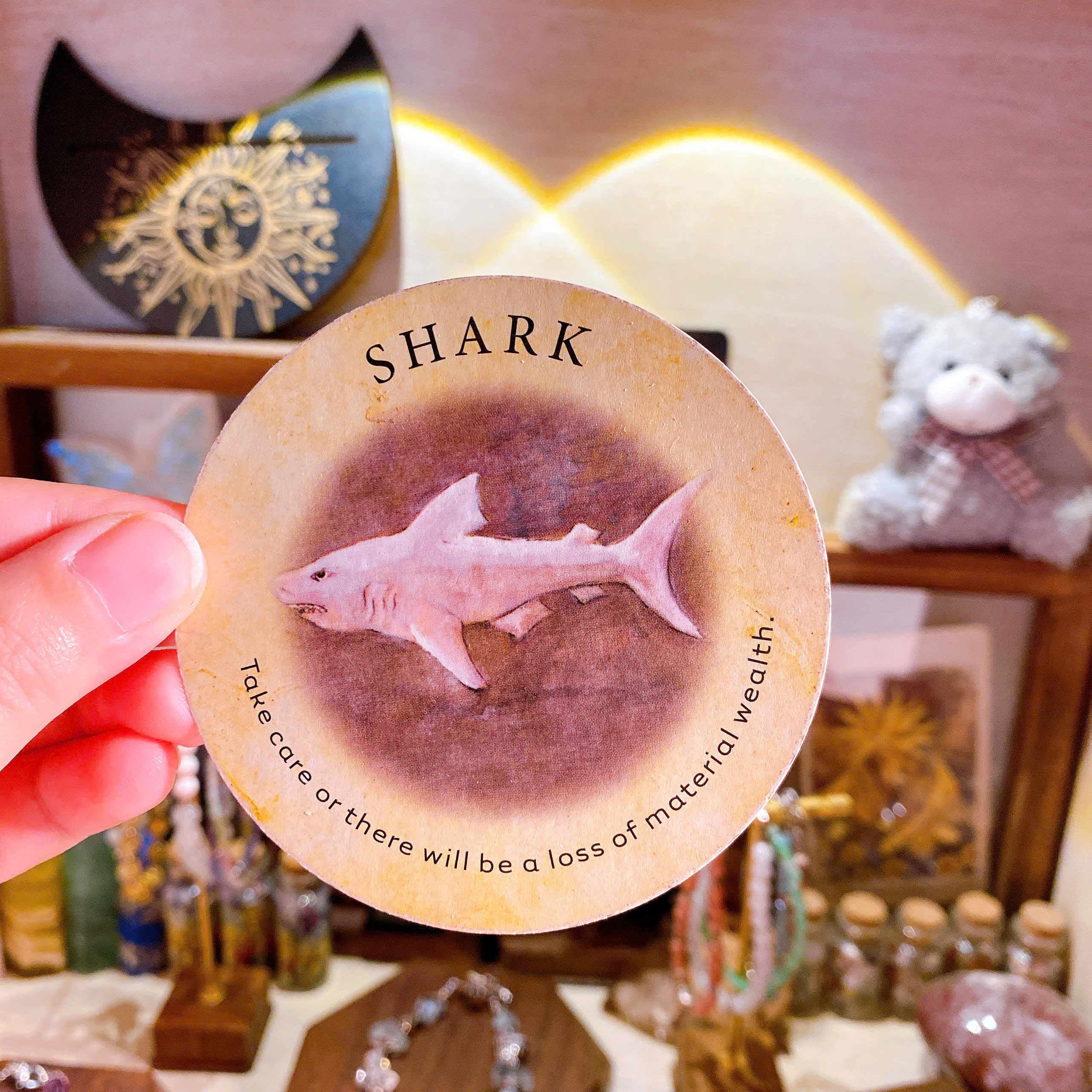 Shark