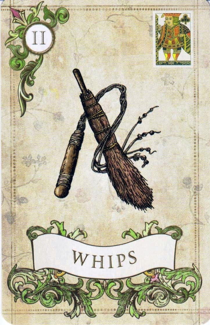 Whips