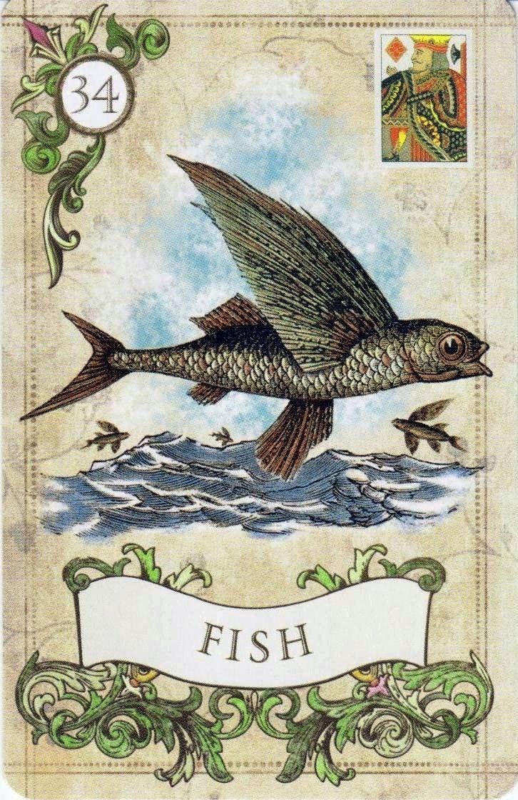 Fish