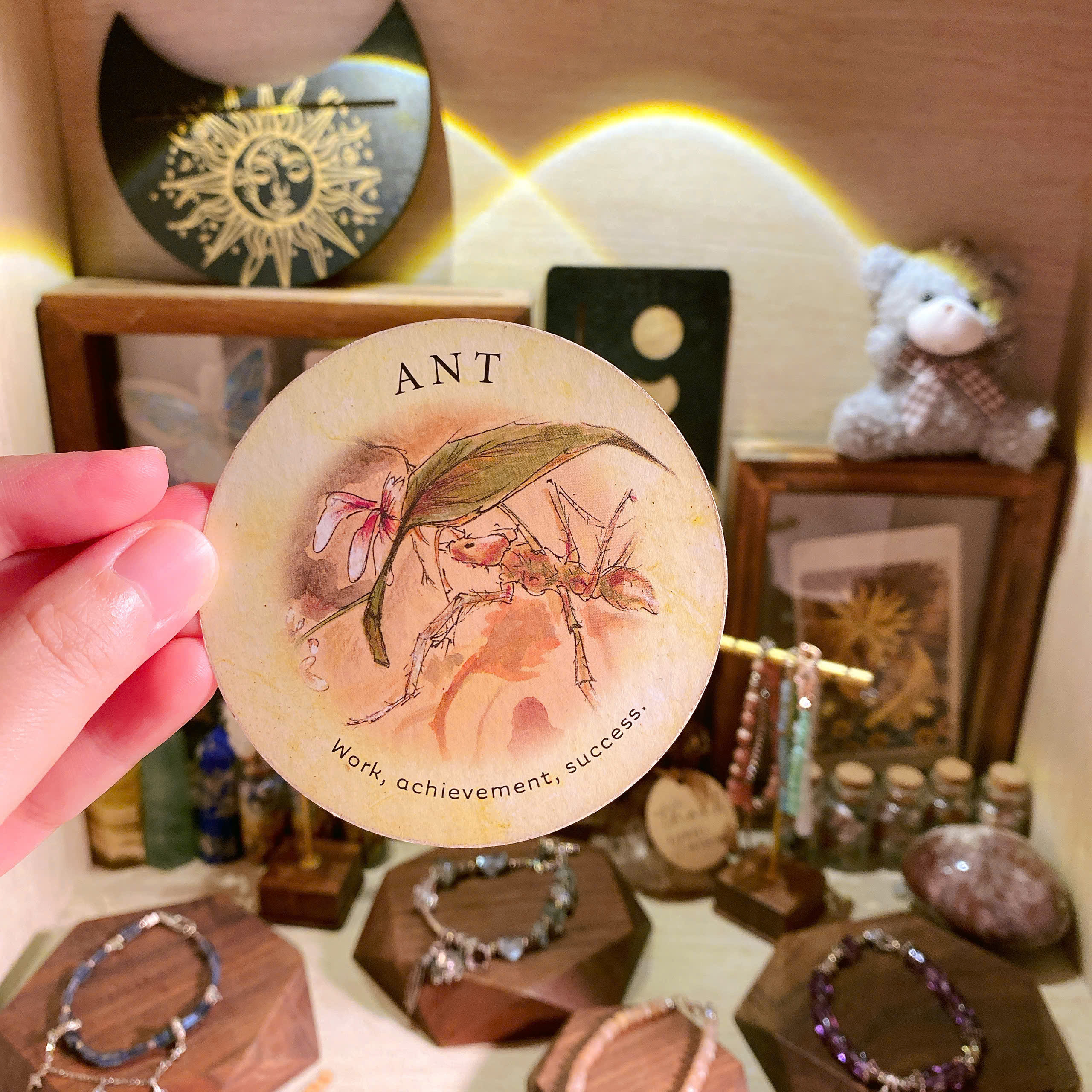 Ant